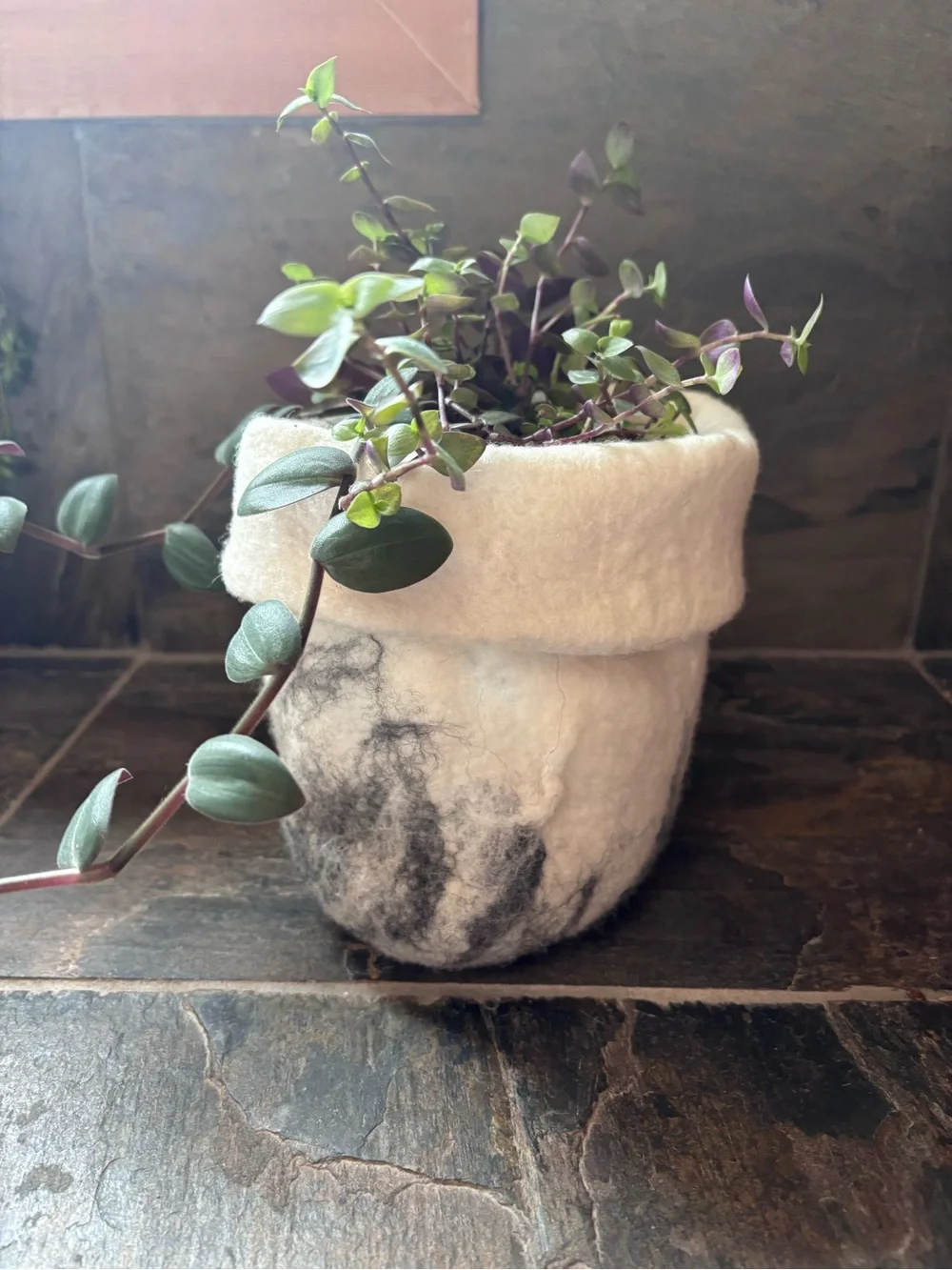 Hand Felted Merino Wool Plant Cozy | Soft Wool Basket | Handmade Home Decor